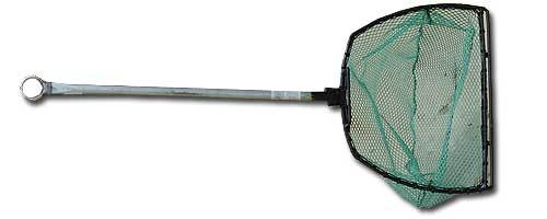 dip nets
